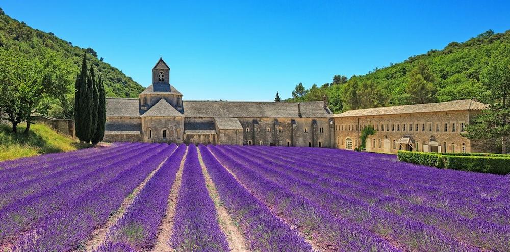CRUCEROS SUR DE FRANCIA CRUCEROS RODANO SAONA LYON ARLES VIVIERS AVIGNOS PROVENZA CRUCEROS FLUVIALES FRANCIA FRANCE RIVER CRUISES LAVENDER FIELD FRANCE ABBEY VAUCLUSE SENANQUE ABBEY FRANCIA LAVANDA CRUCEROS FLUVIALES CON ENCANTO